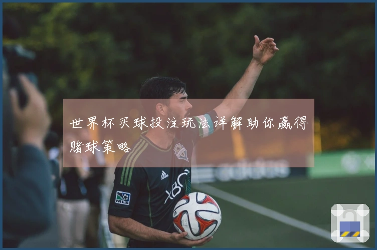 世界杯买球投注玩法详解助你赢得赌球策略