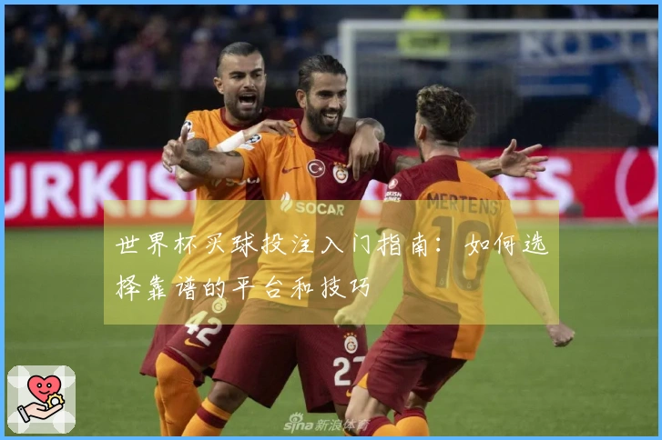 世界杯买球投注入门指南:如何选择靠谱的平台和技巧