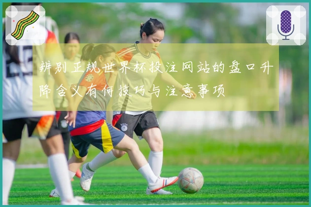 辨别正规世界杯投注网站的盘口升降含义有何技巧与注意事项