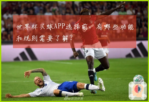世界杯买球APP选择前，有哪些功能和规则需要了解？