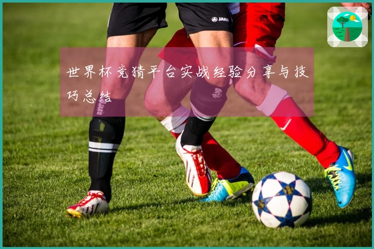 世界杯竞猜平台实战经验分享与技巧总结