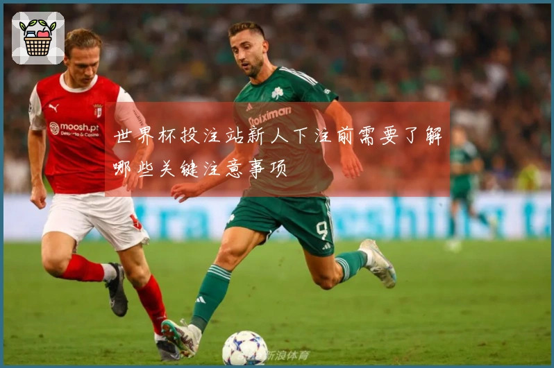 世界杯投注站新人下注前需要了解哪些关键注意事项